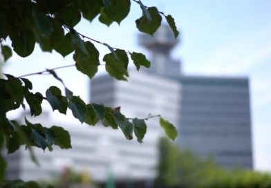 Noch immer kein Vertreter für Menschen mit Behinderungen
im rbb-Rundfunkrat!