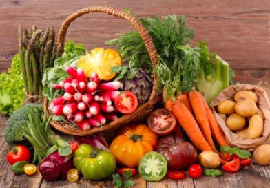 Vom Hype zum Handwerk: Vegan Reisen – Urlaub mit Wohlfühlgarantie
