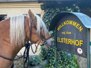 Braunes Pferd vor schwarzen Schild mit gelber Schrift: Willkommen auf dem Elsterhof