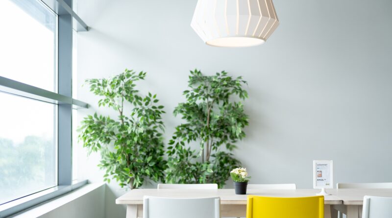 Ein Wohnzimmer mit einer grünen Pflanze, einer Lampe, einem weißem Tisch und drei weißen Stühlen und einem gelben Stuhl.